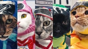 undefined Images